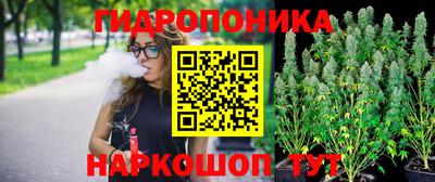 дмт Кинель