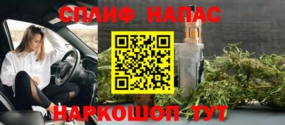 дмт Кинель