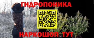 дмт Кинель